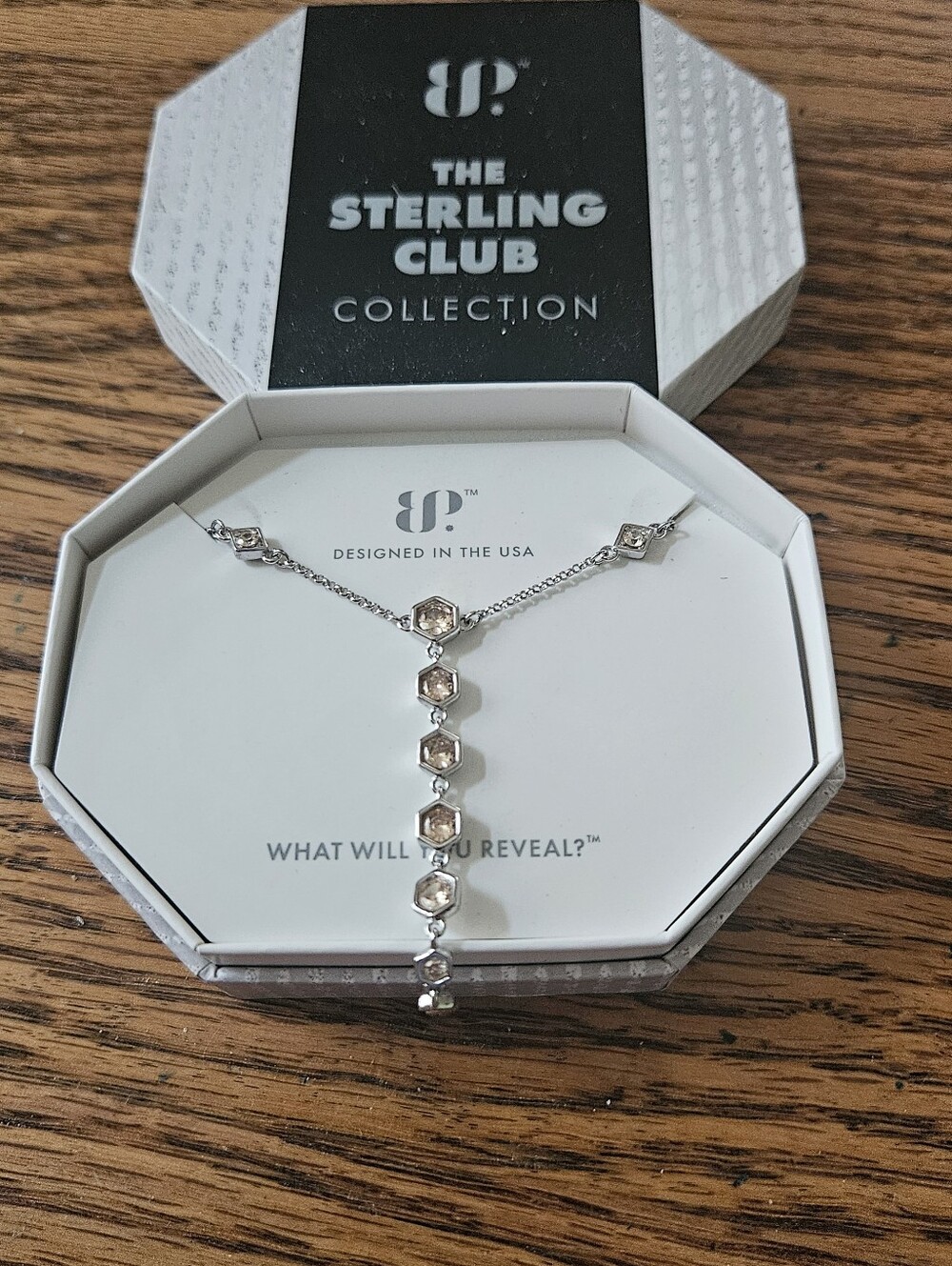 Bomb Party The Sterling Club Silver Crystal Y-Drop Necklace in Silver